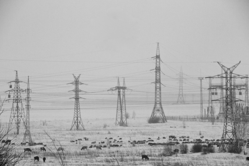 Photograph by Алёна Гильмуллина