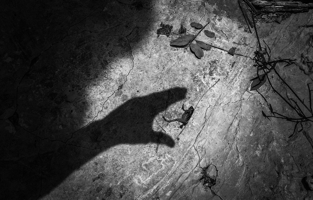 Photograph by Tatiana Barthem