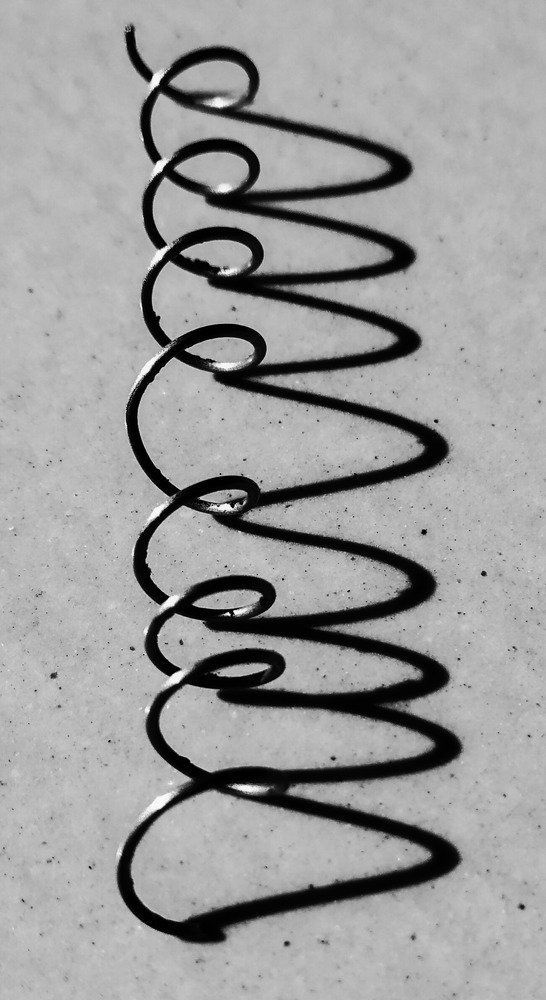 Photograph by Pallavi Singh