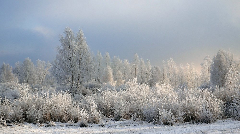 Зимний день на Татышеве