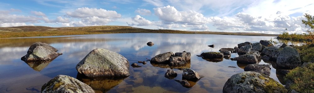 Photograph by Максим Федотов
