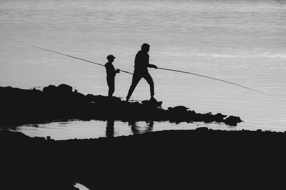 Photograph by Алексей Кибирев