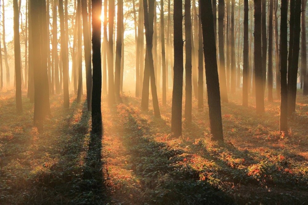 Третье мгновение осени