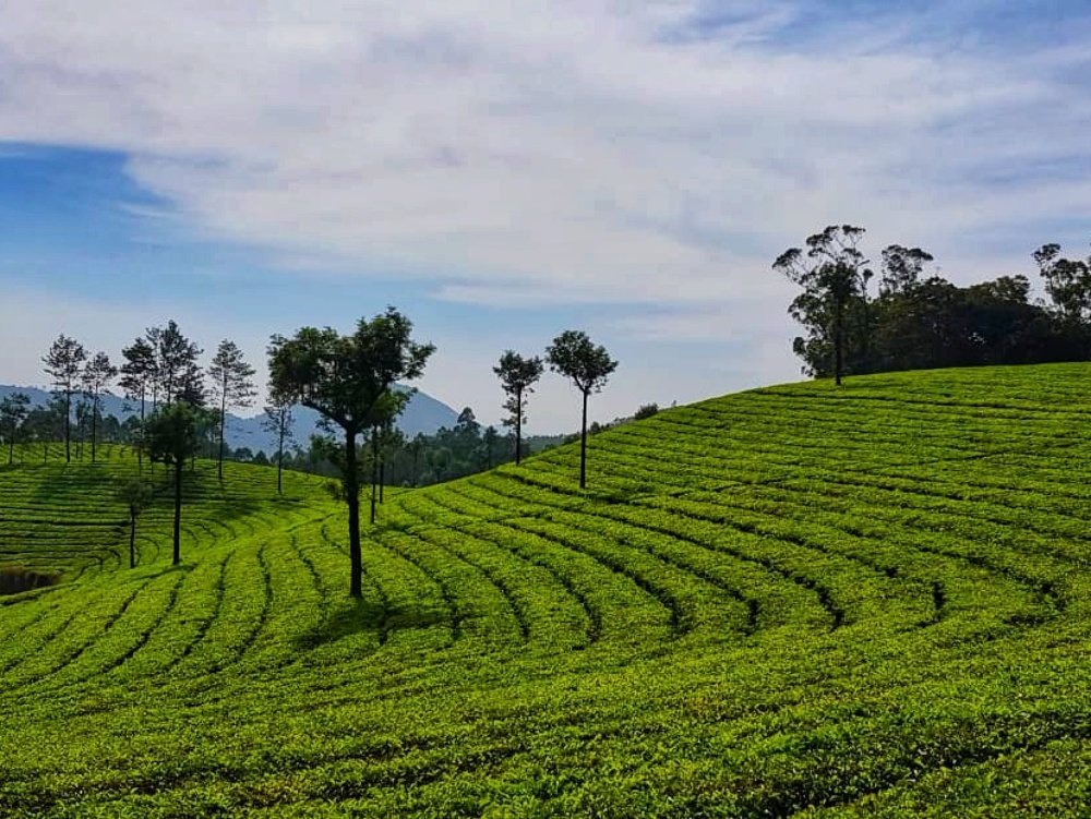 Photograph by Татьяна Мельникова