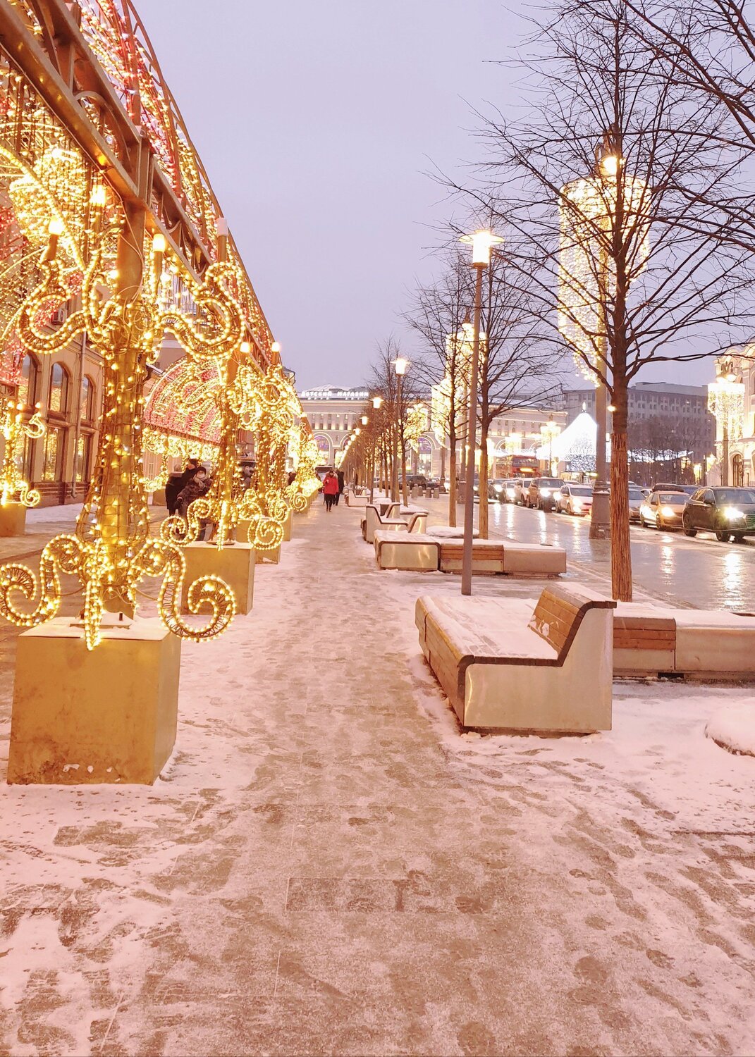 Photo #5542660