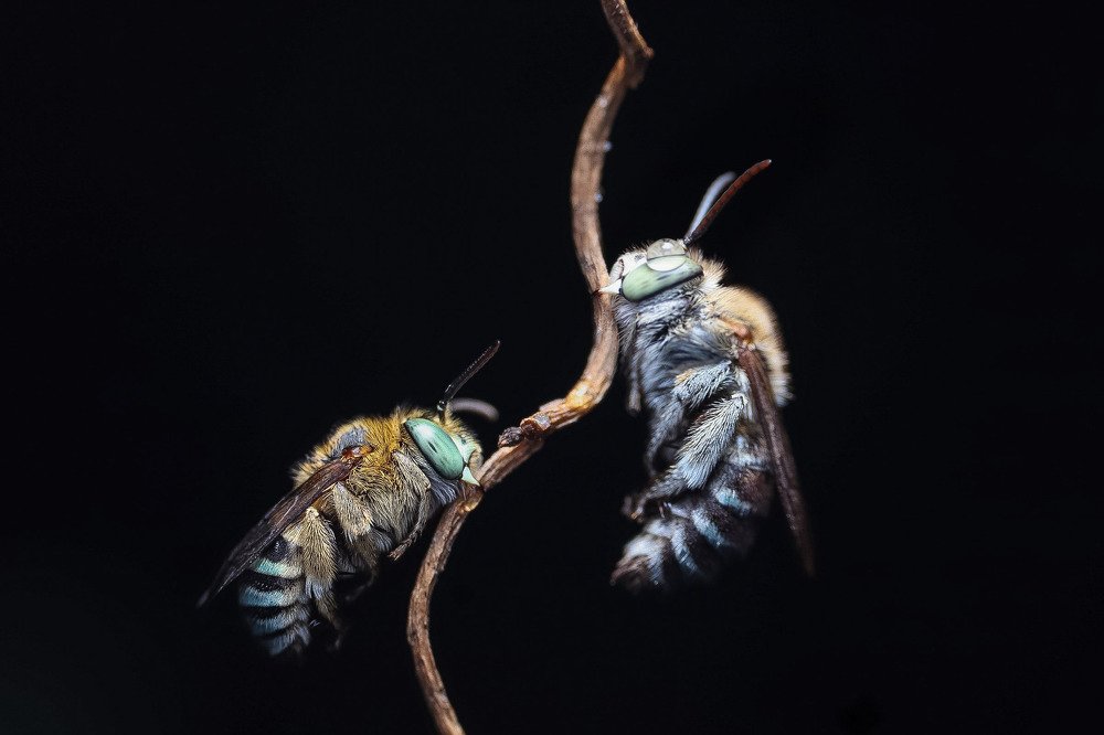 Photograph by Mark Kineth Casindac