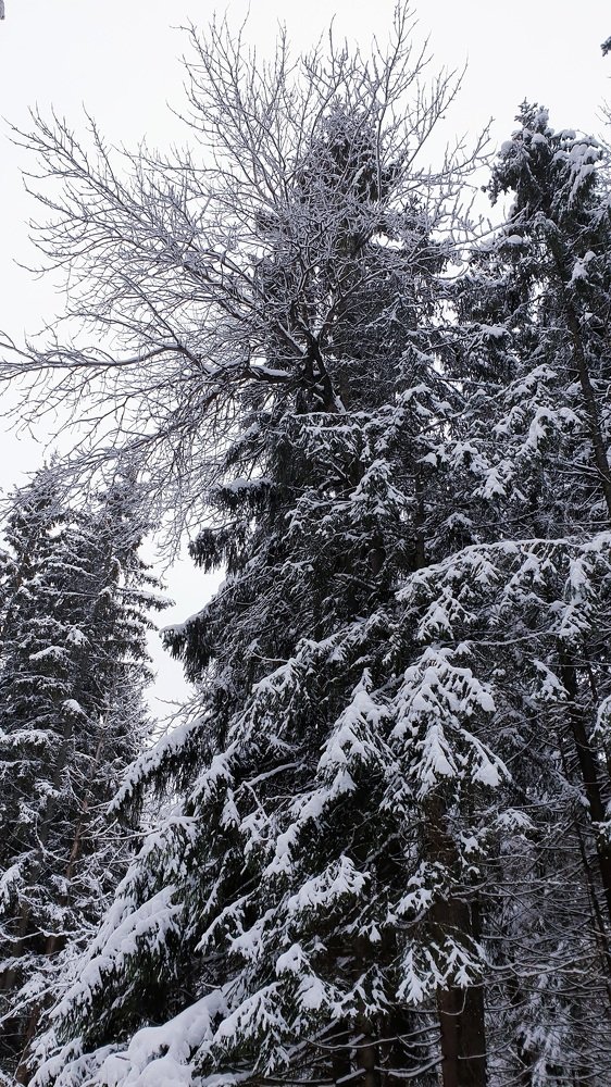 Photograph by Полина