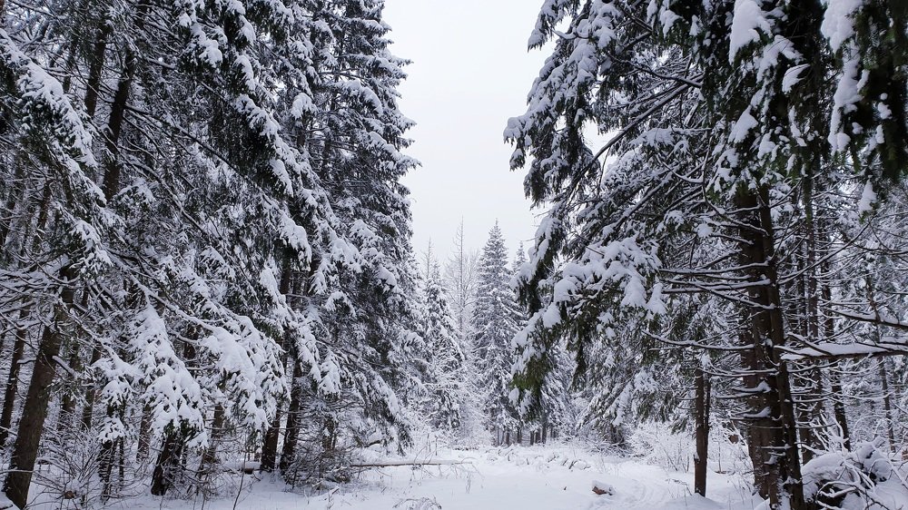 Photograph by Полина