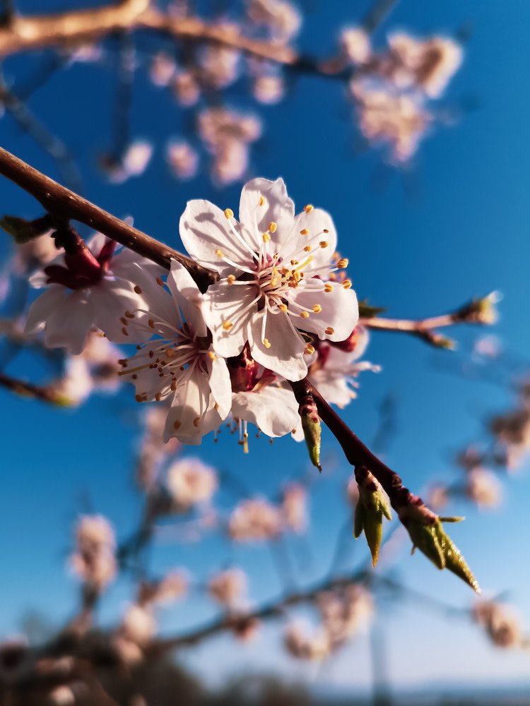 Photograph by Марина Суслова