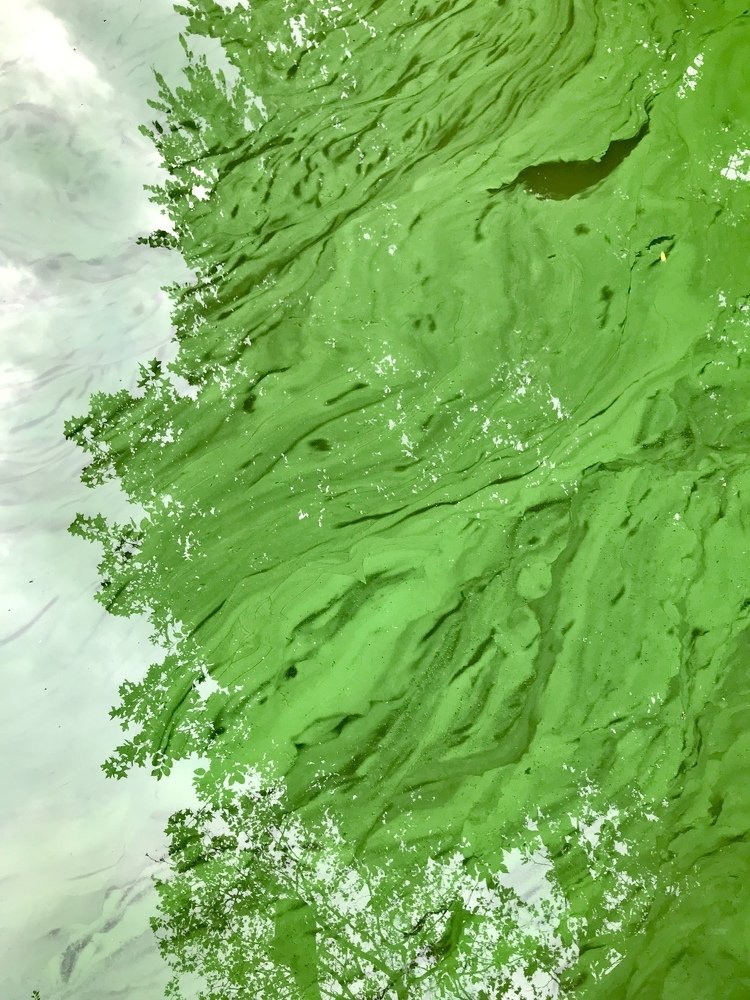 Фотография автора Anastasia Love