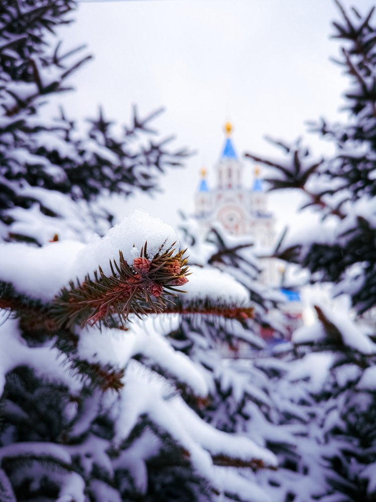 Photograph by Марина Суслова