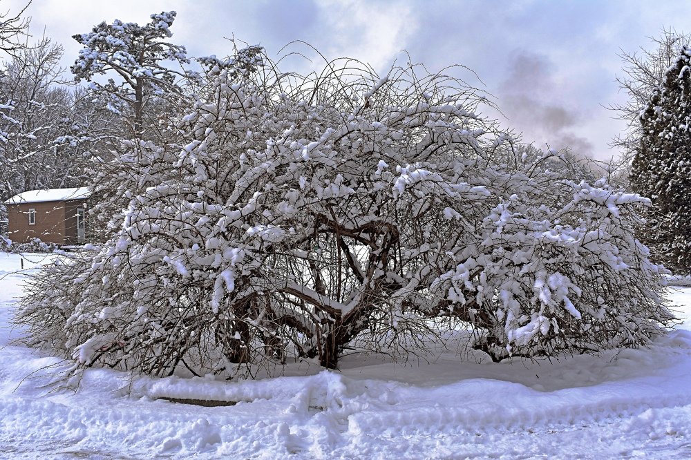 Photograph by Светлана Титова