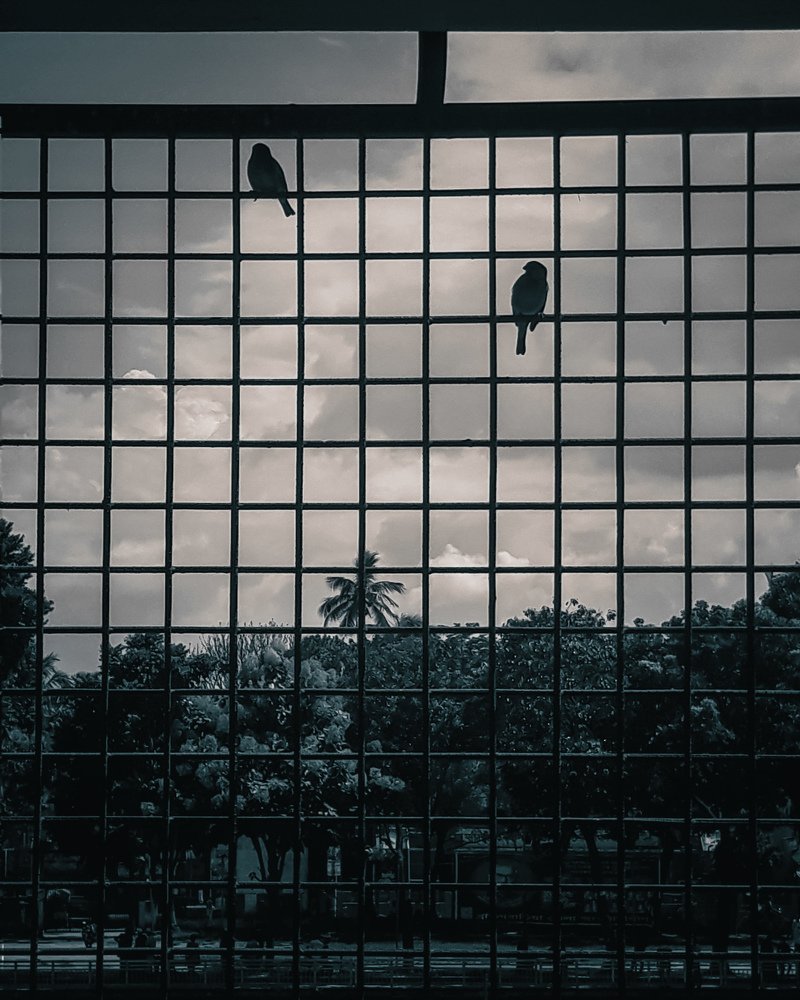 Photograph by Md Hasan Al Rashid