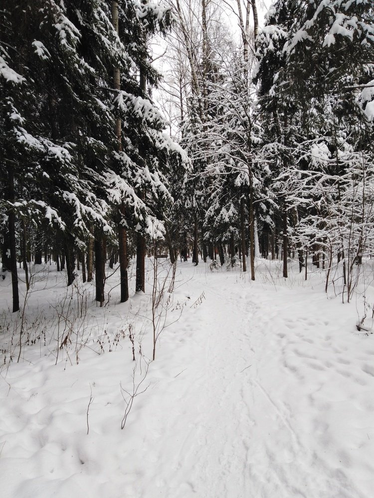 Photograph by Татьяна Ситникова