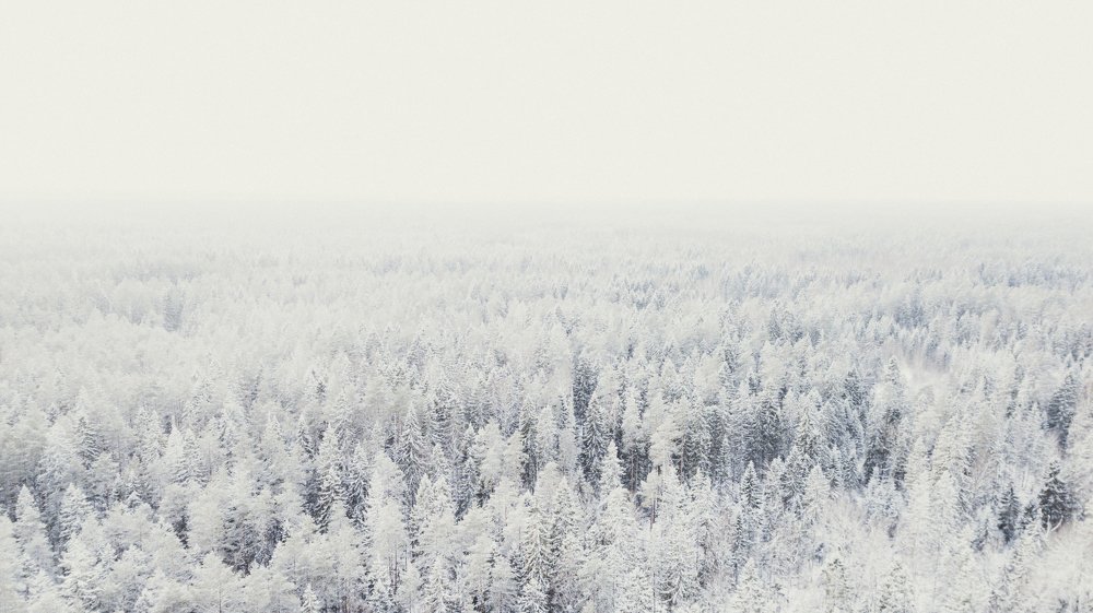 Photograph by Илья Михайлов