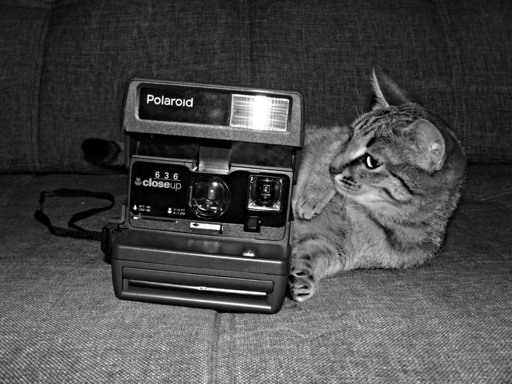 Фотография автора Павел Попов