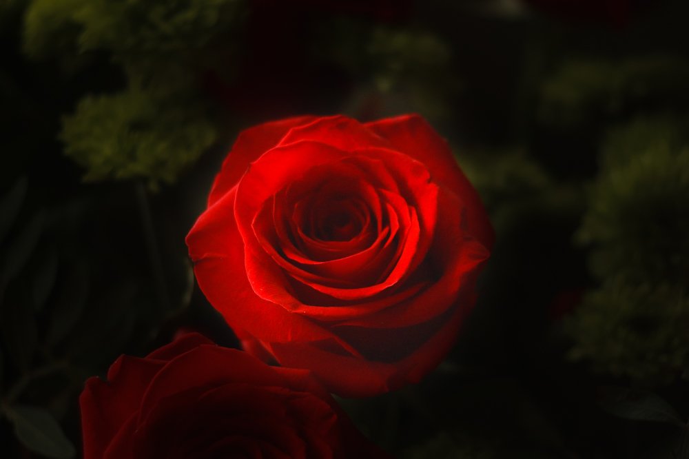 Фотография автора Марина Самусева