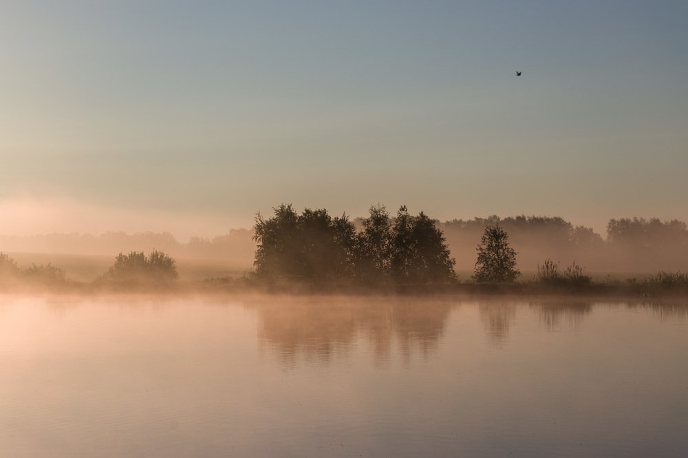 На рассвете