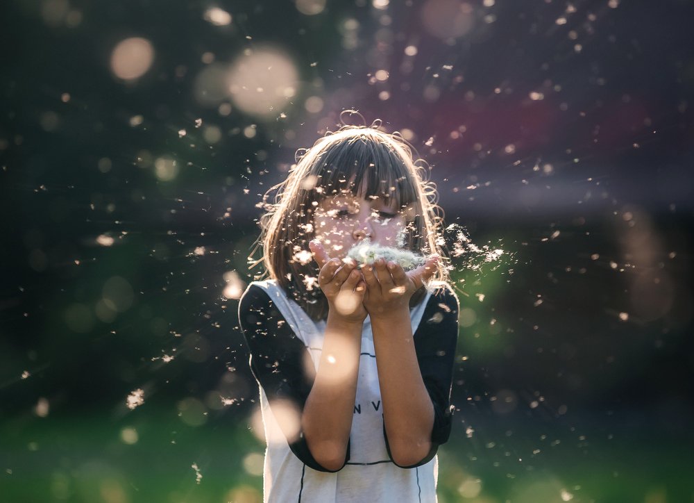 Photograph by Alina Gurfinkel