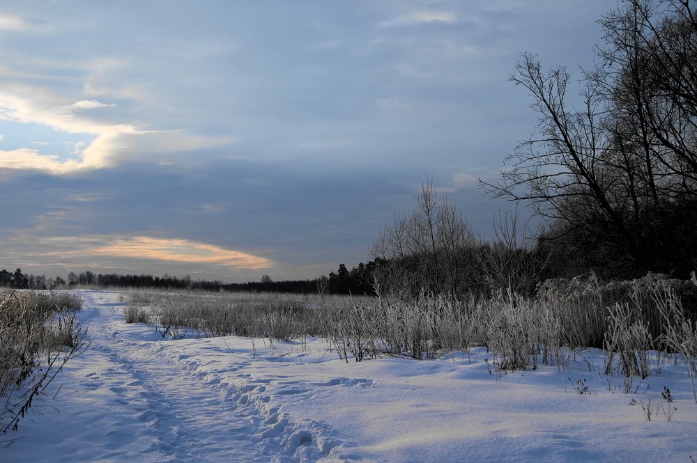 Photograph by Александр Гуреев