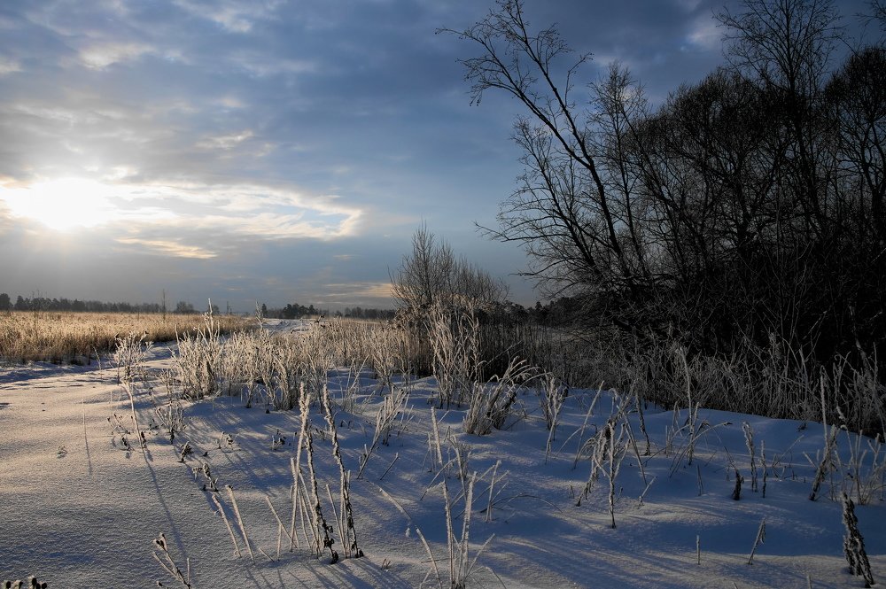 Photograph by Александр Гуреев