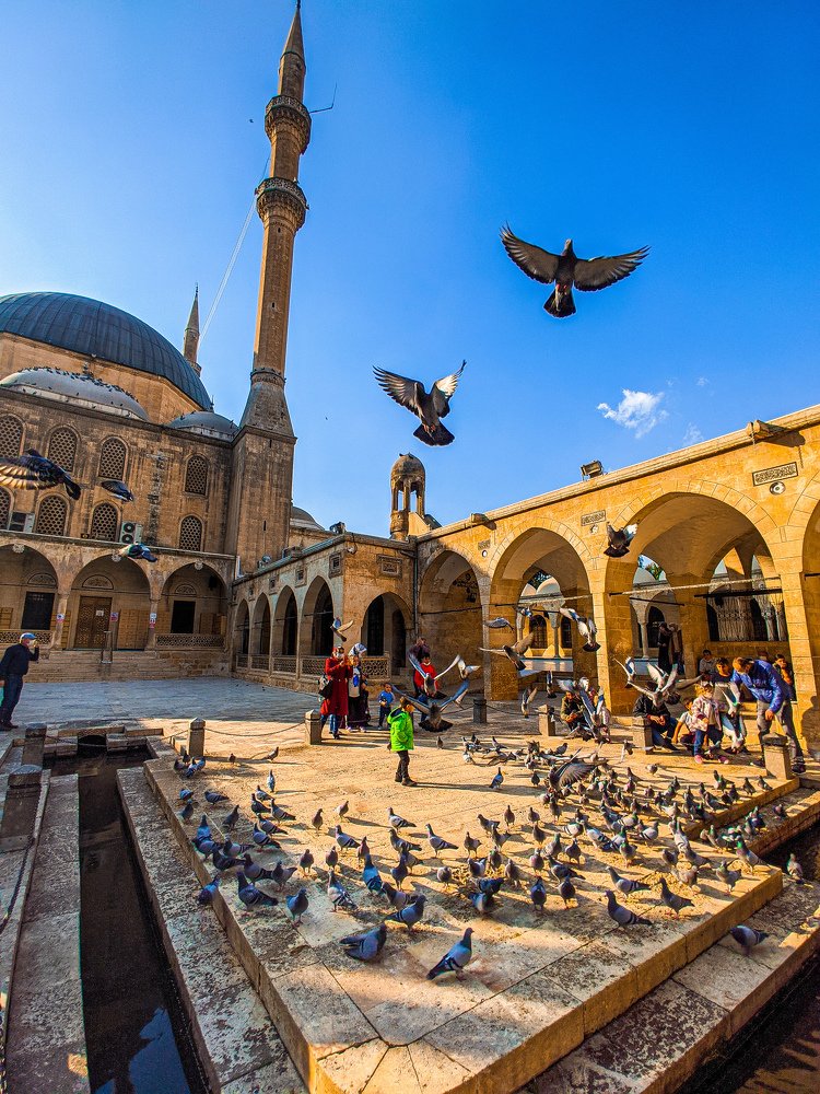 Photograph by Demirtas Yusuf