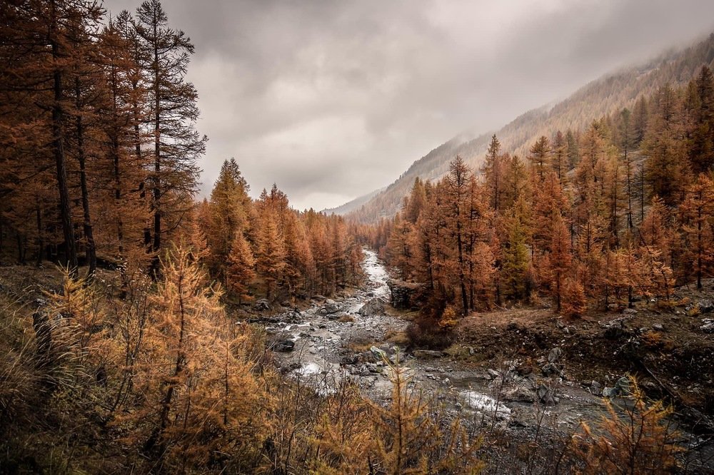 Photograph by Ivan Muro