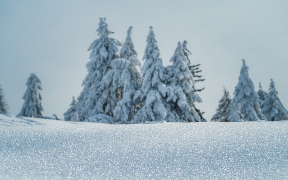 Photograph by Dan Gabriel