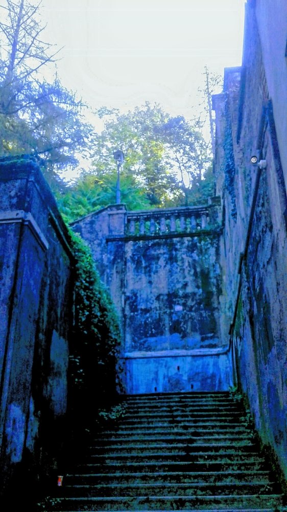 Photograph by Anila Ismailaj