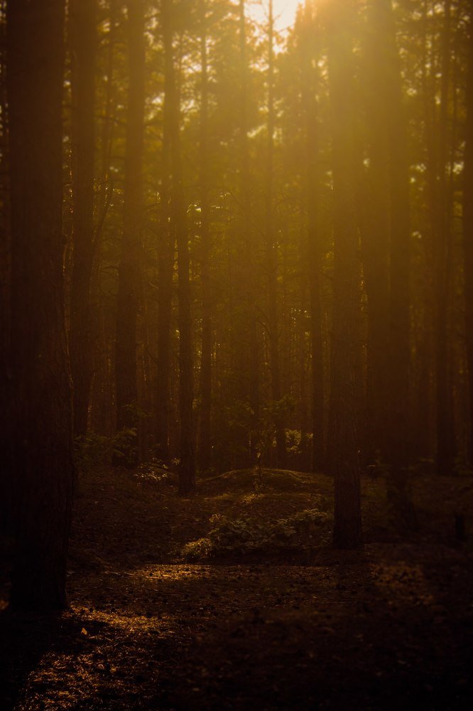 Photograph by Анна Людера