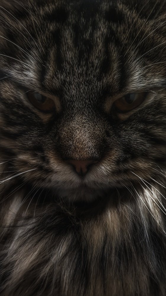 Photograph by Виктор Литошик