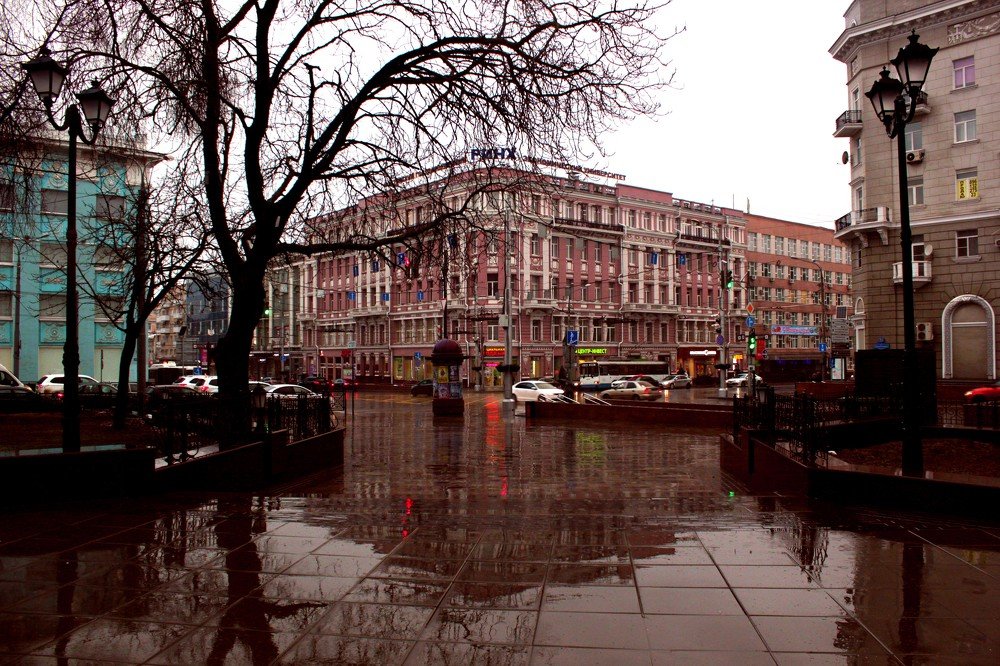 Photograph by Галина Суркова