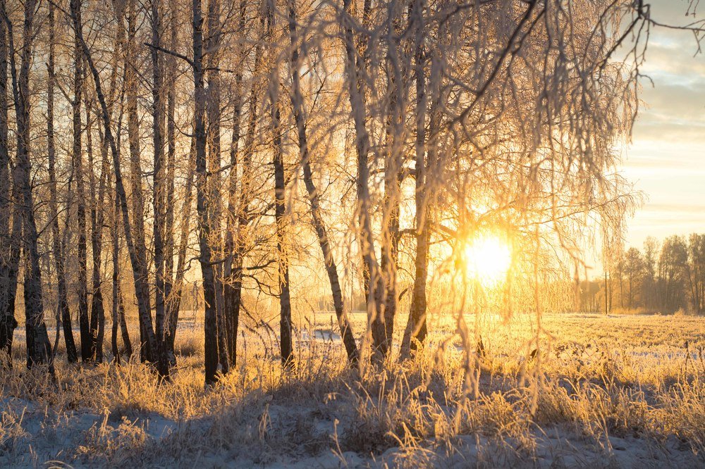 Photograph by Евгения Антропова