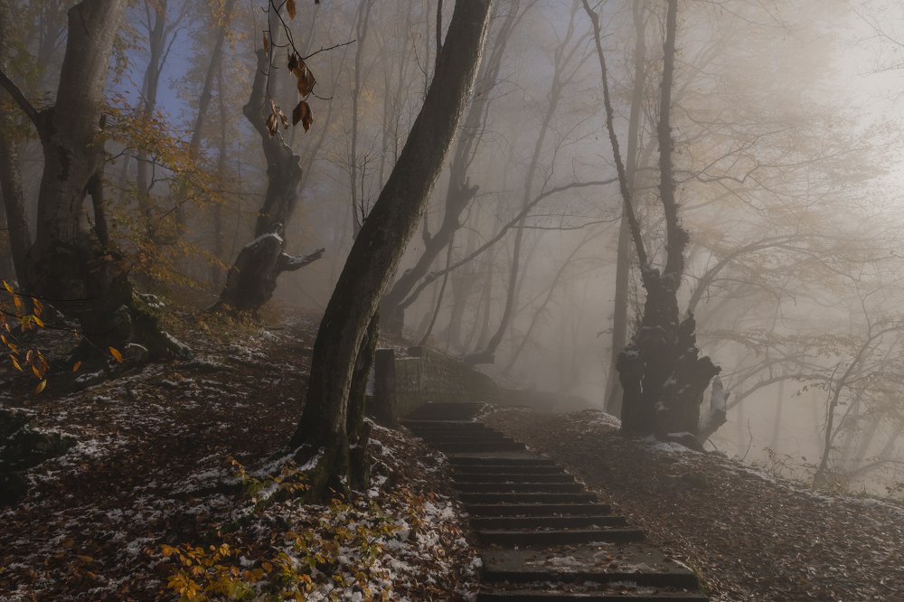 Теренкур. Нальчик.