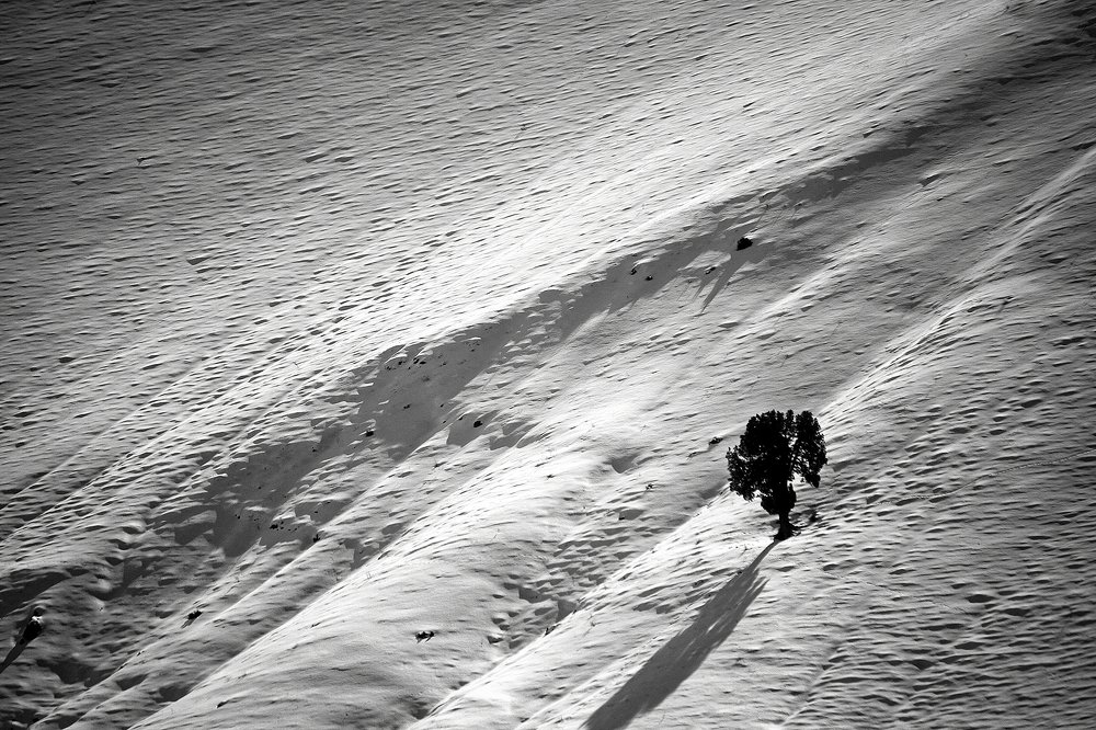 Photograph by Siamak Sabet