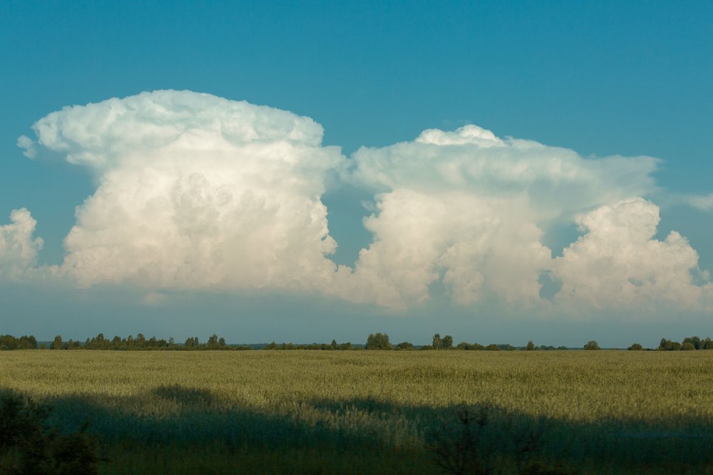 Photograph by Мария Бочкова