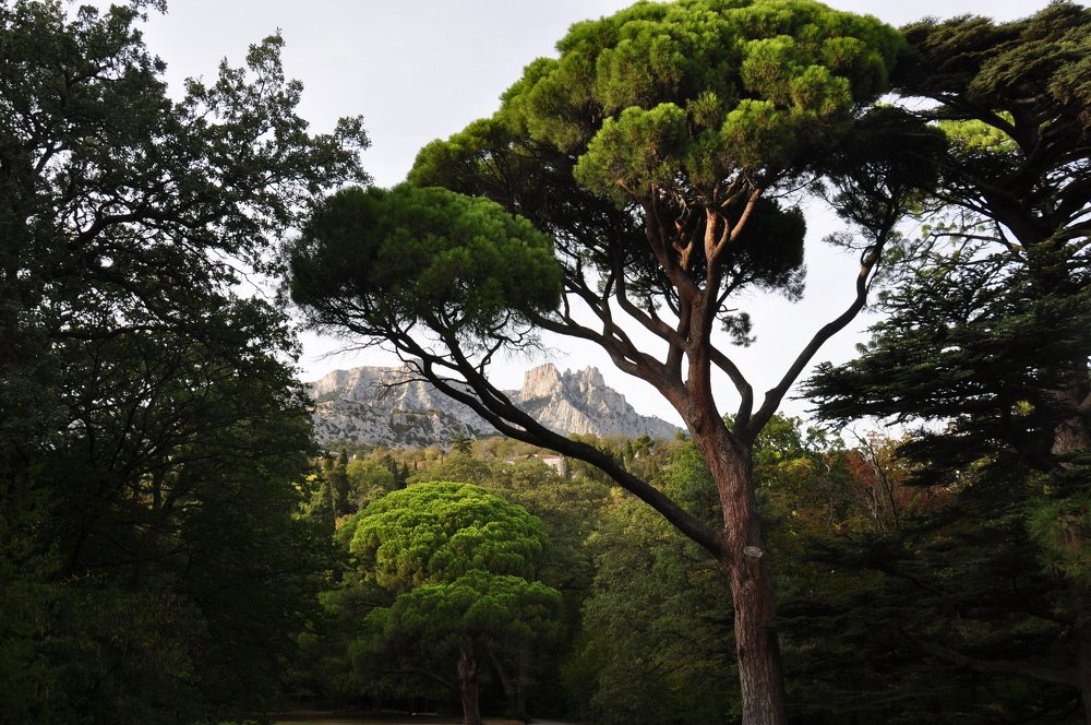 Photograph by Евгений Захаров