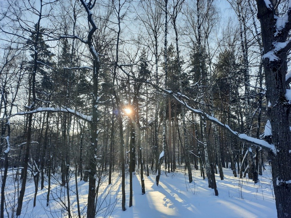 Photograph by Павел Борщев