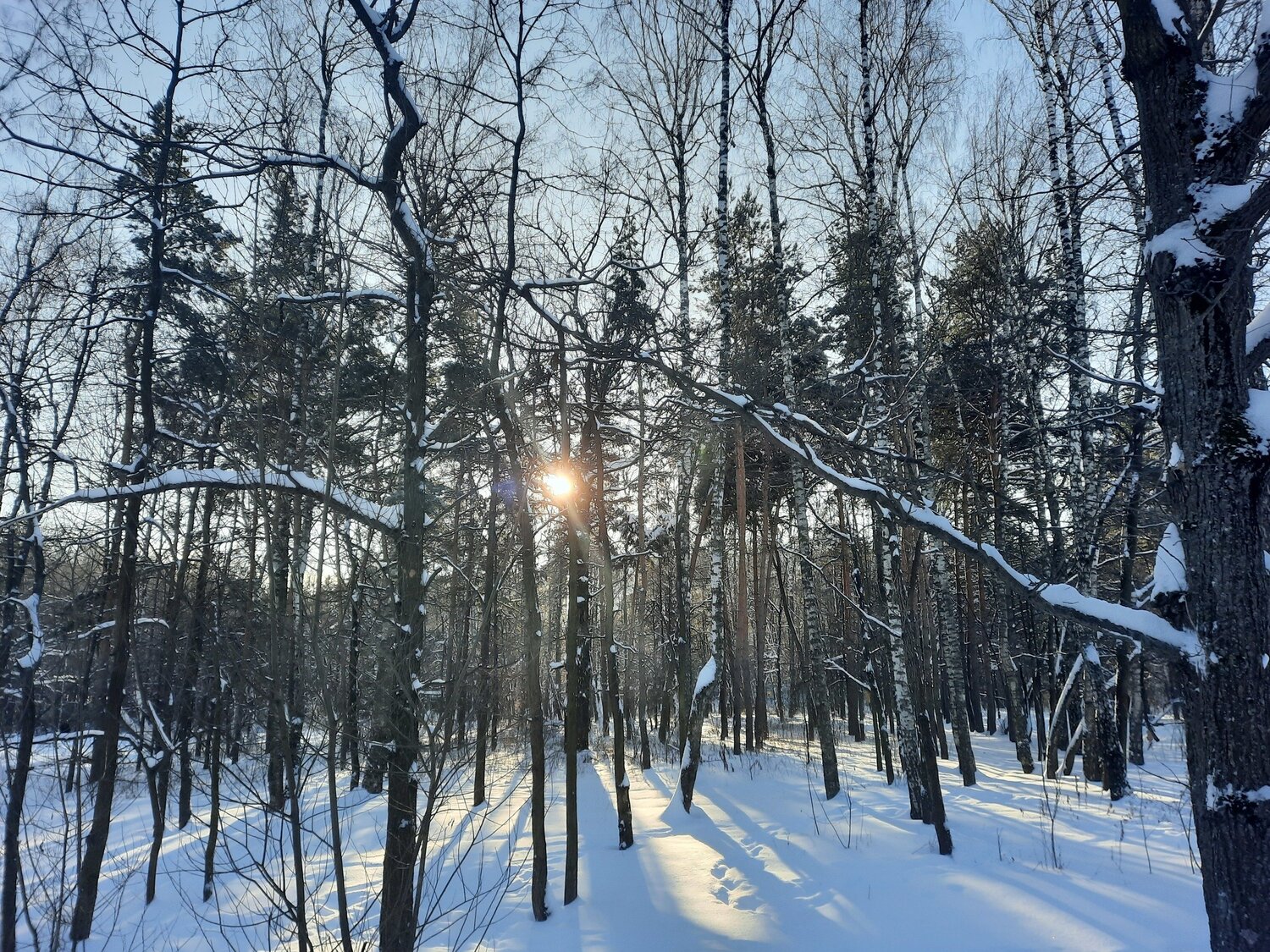 Photo #5543751