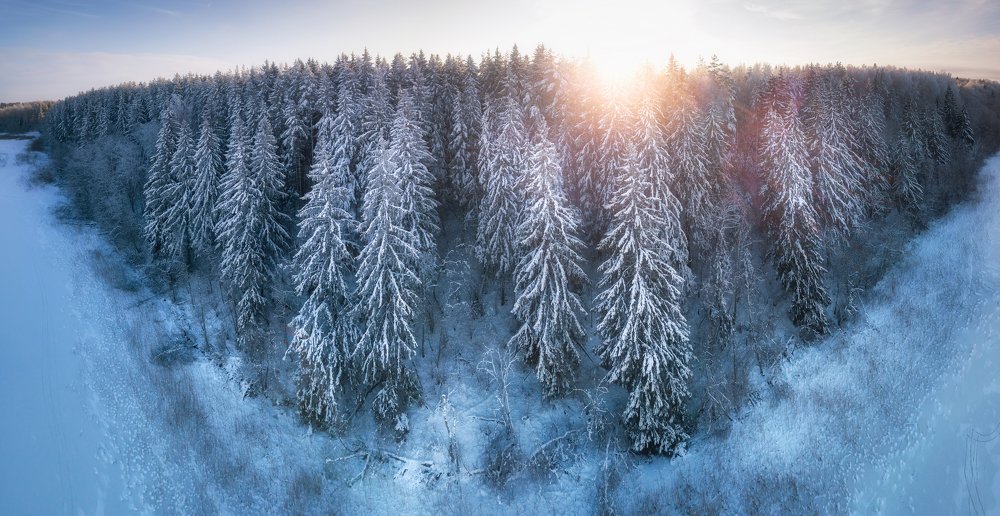 Photograph by Roman Dmitriev