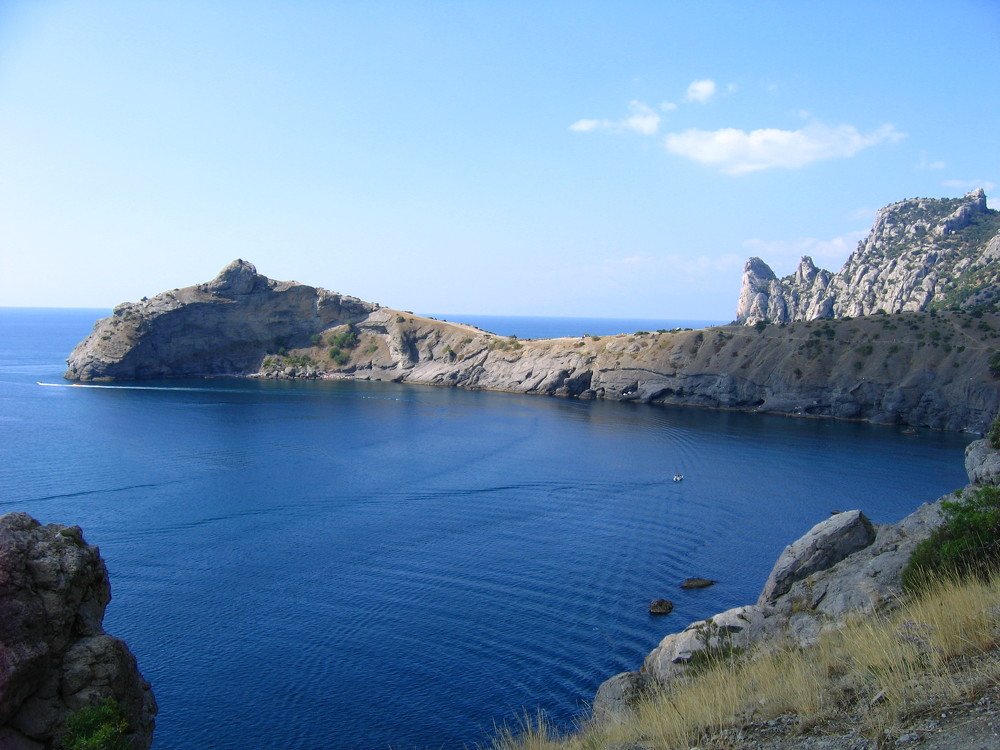 Спящий ящер