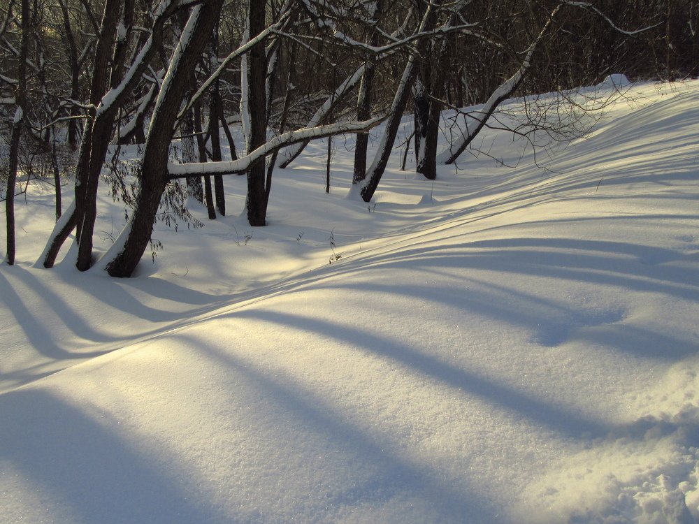 Зимние тени.
