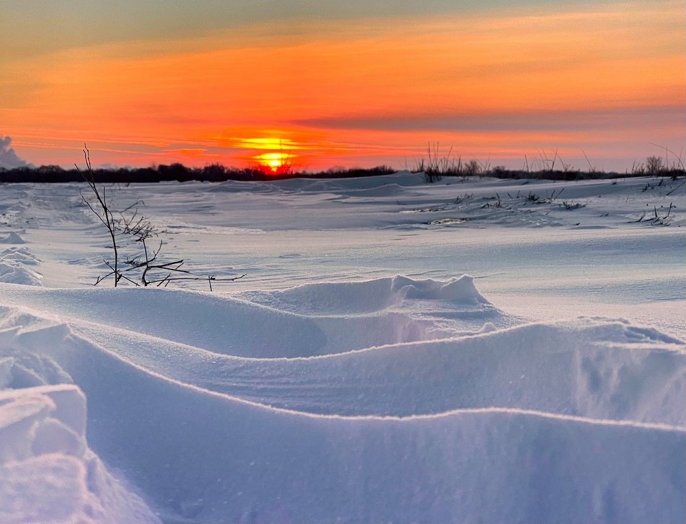 Photograph by Елена Гарибян