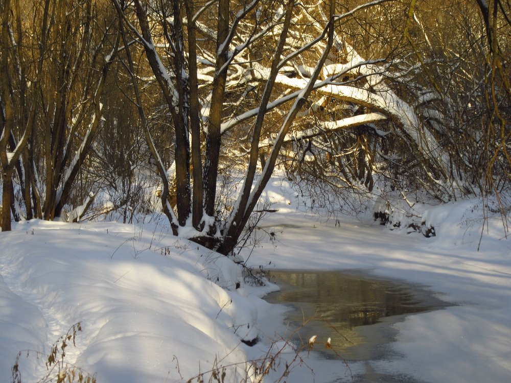 Сетунь зимой.
