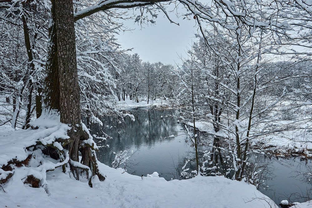 Photograph by Татьяна Полянская