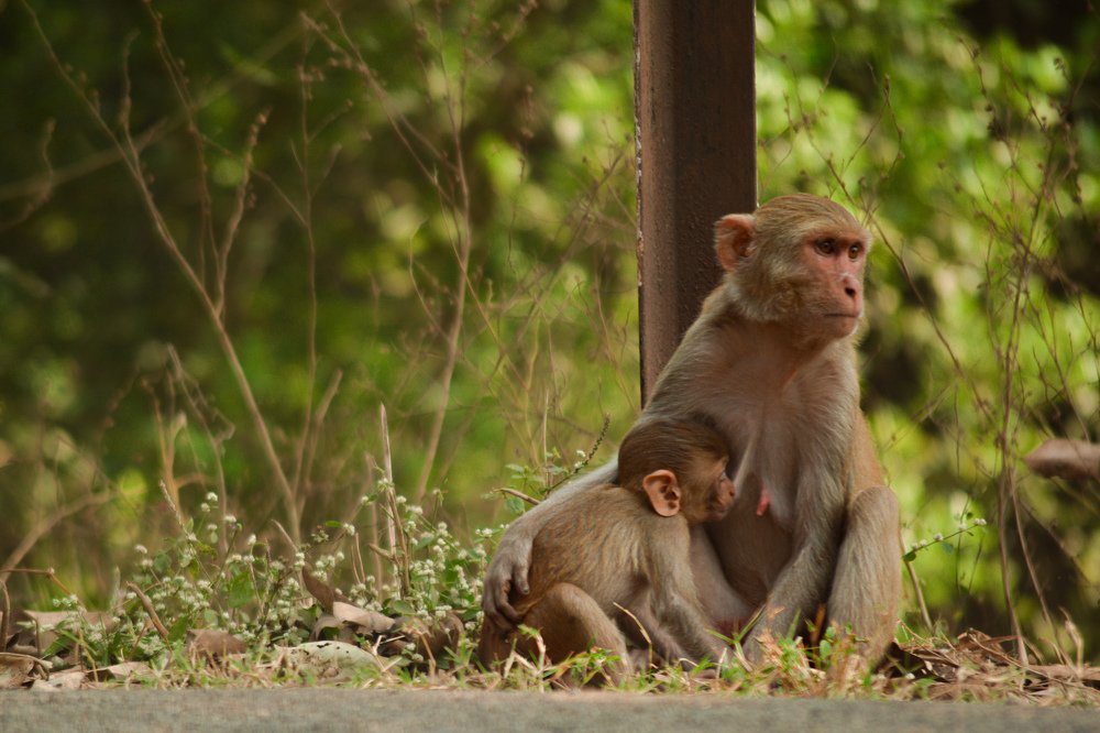 Photograph by uday teja