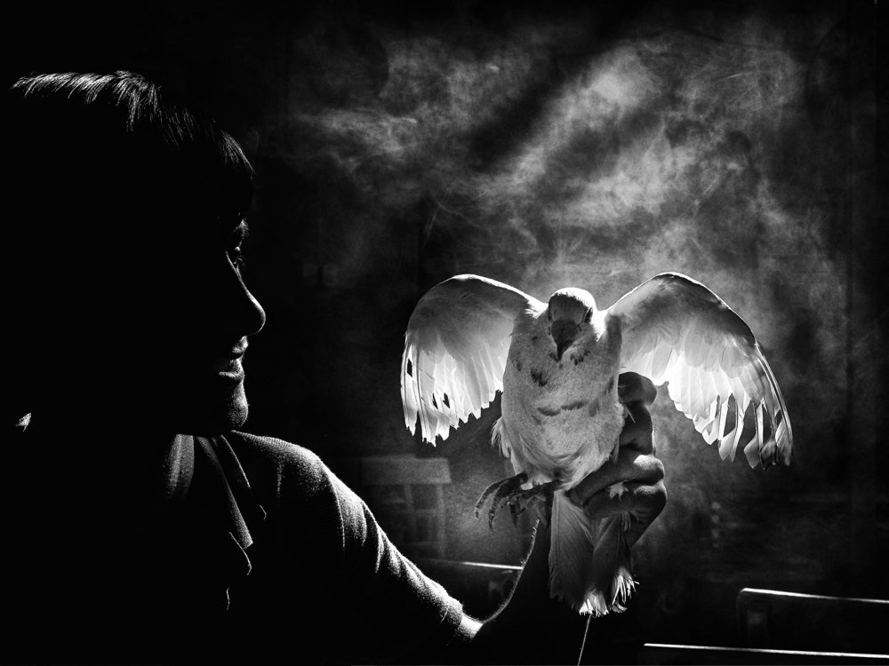 Фотография автора Gılcan Mete Delibay