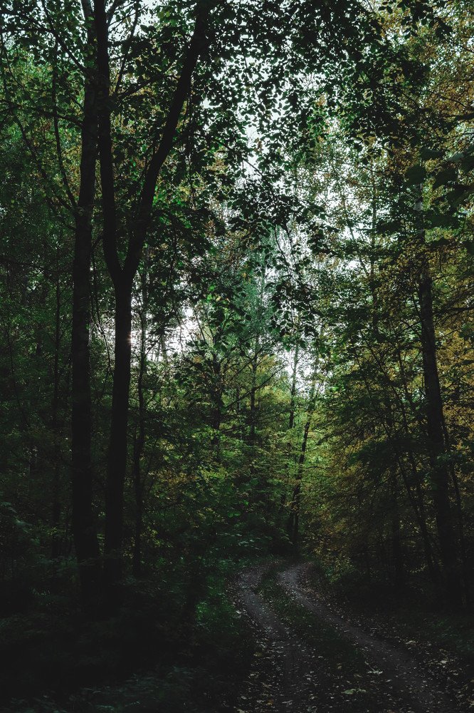 Photograph by Matvey