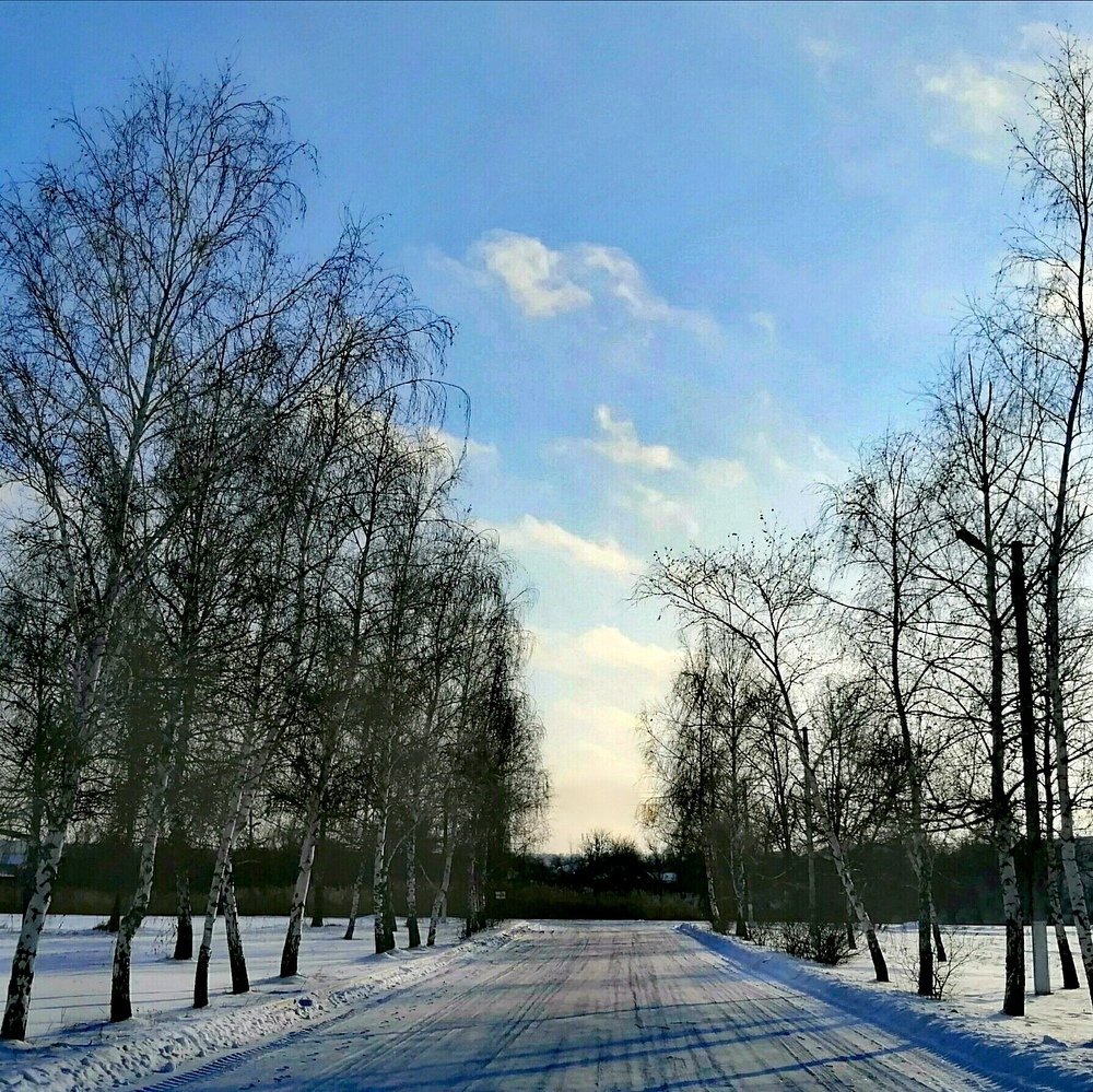 Photograph by Ирина Зима