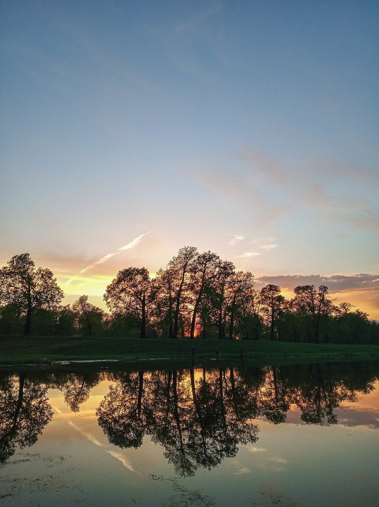 Photograph by Matvey